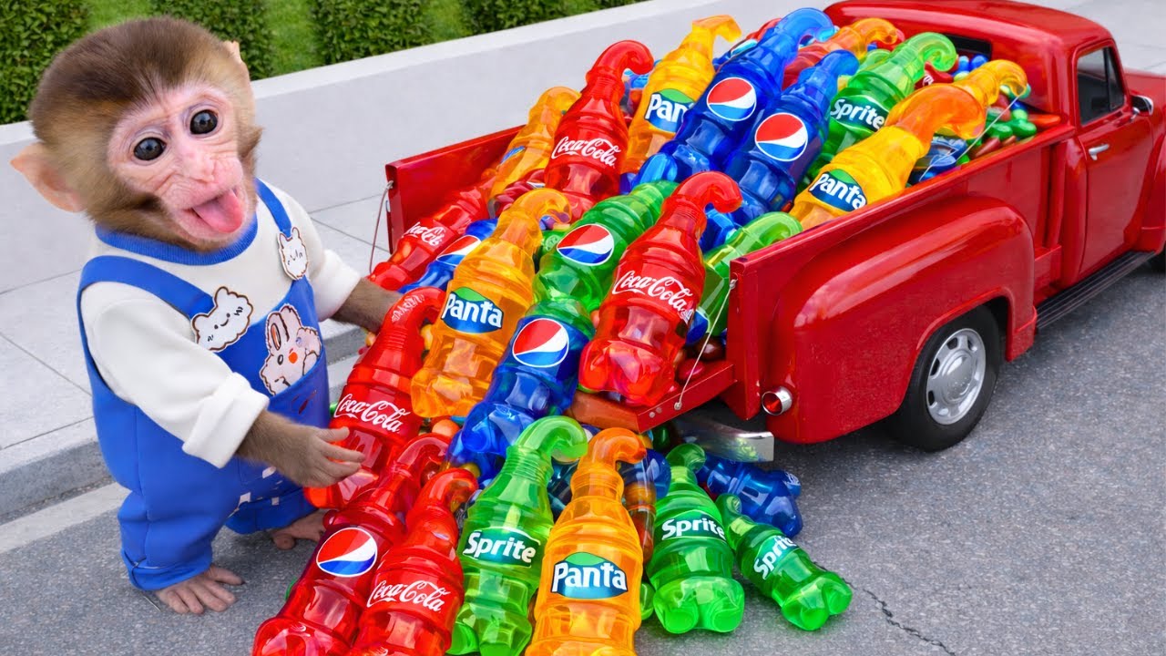 Monyet Milo Imut membeli jelly madu warna warni dan terkejut melihat monster truck raksasa