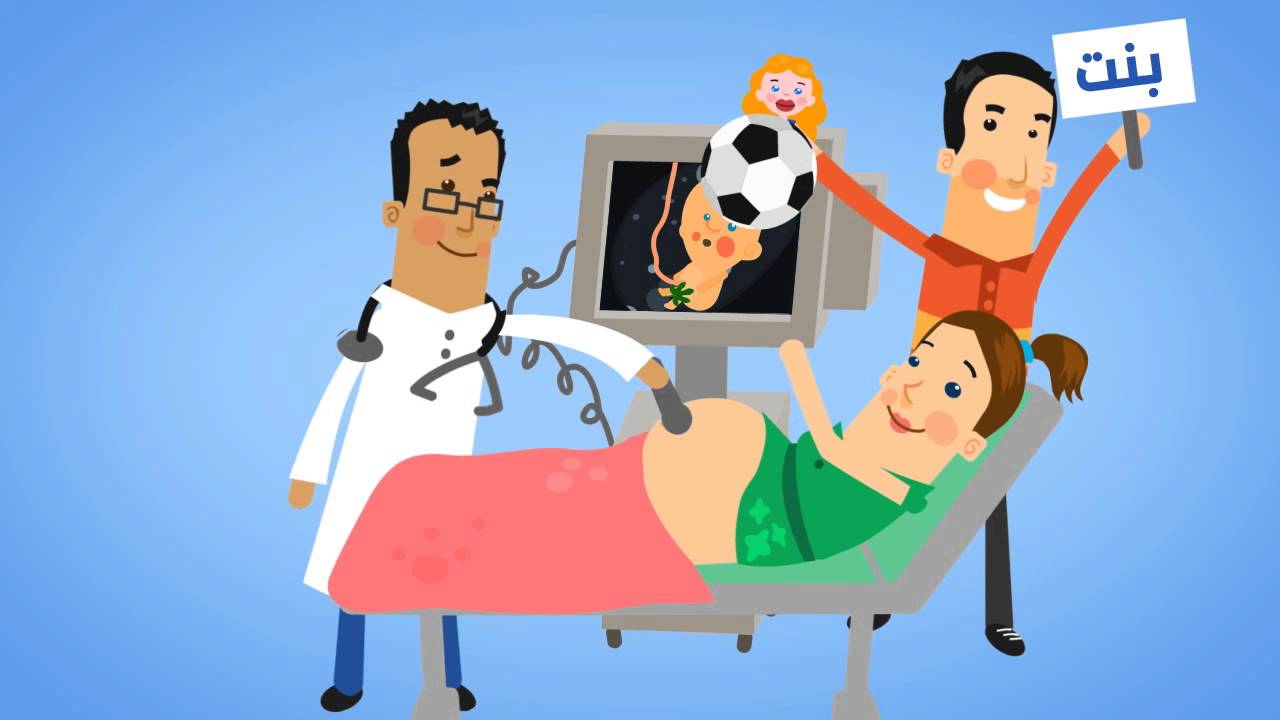فحوصات الحمل: مسح أعضاء الجنين (نمو الجنين)