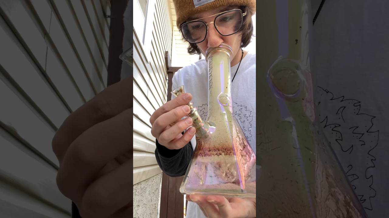 18+🌿💨 | Berry Cream Puff from Pure SunFarms! | #420 #weedchannel #wackybudoftheweek #fyp #shorts
