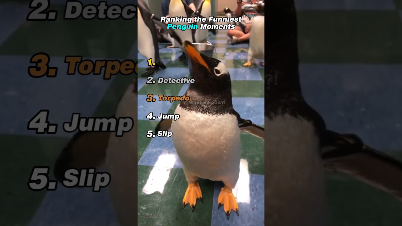 Ranking the Funniest Penguin Moments