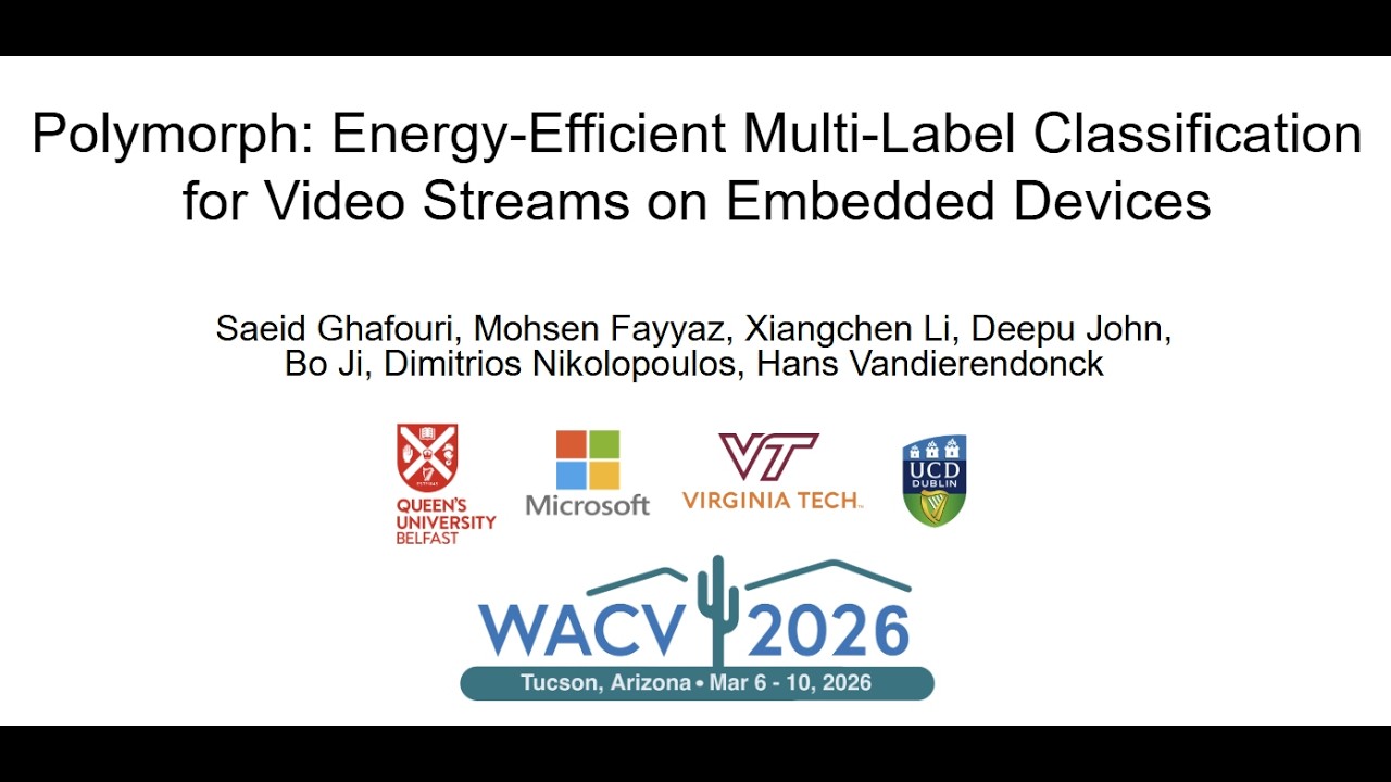 Polymorph: Energy-Efficient Multi-Label Classification for Video Streams on Embedded Devices
