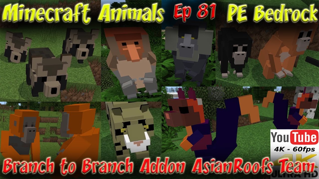 Branch to Branch Addon AsianRoofs Team Minecraft PE Bedrock Addon Animal Addon 60FPS 4K Animals Ep81