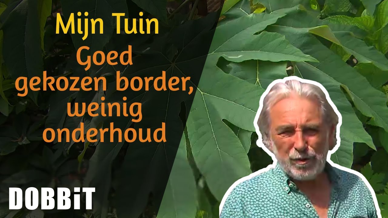 Mijn Tuin - Goed gekozen border, weinig onderhoud