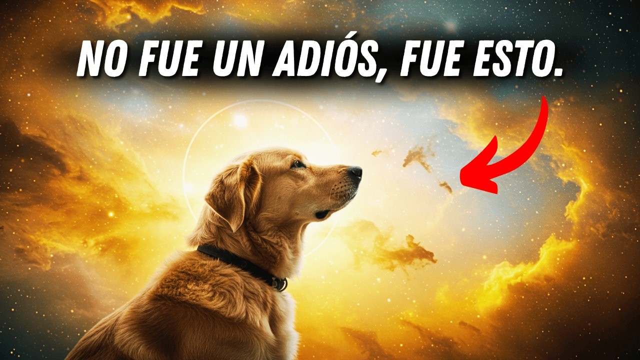 ¿Por qué DIOS te quitó a tu perro? puede hacerte LLORAR