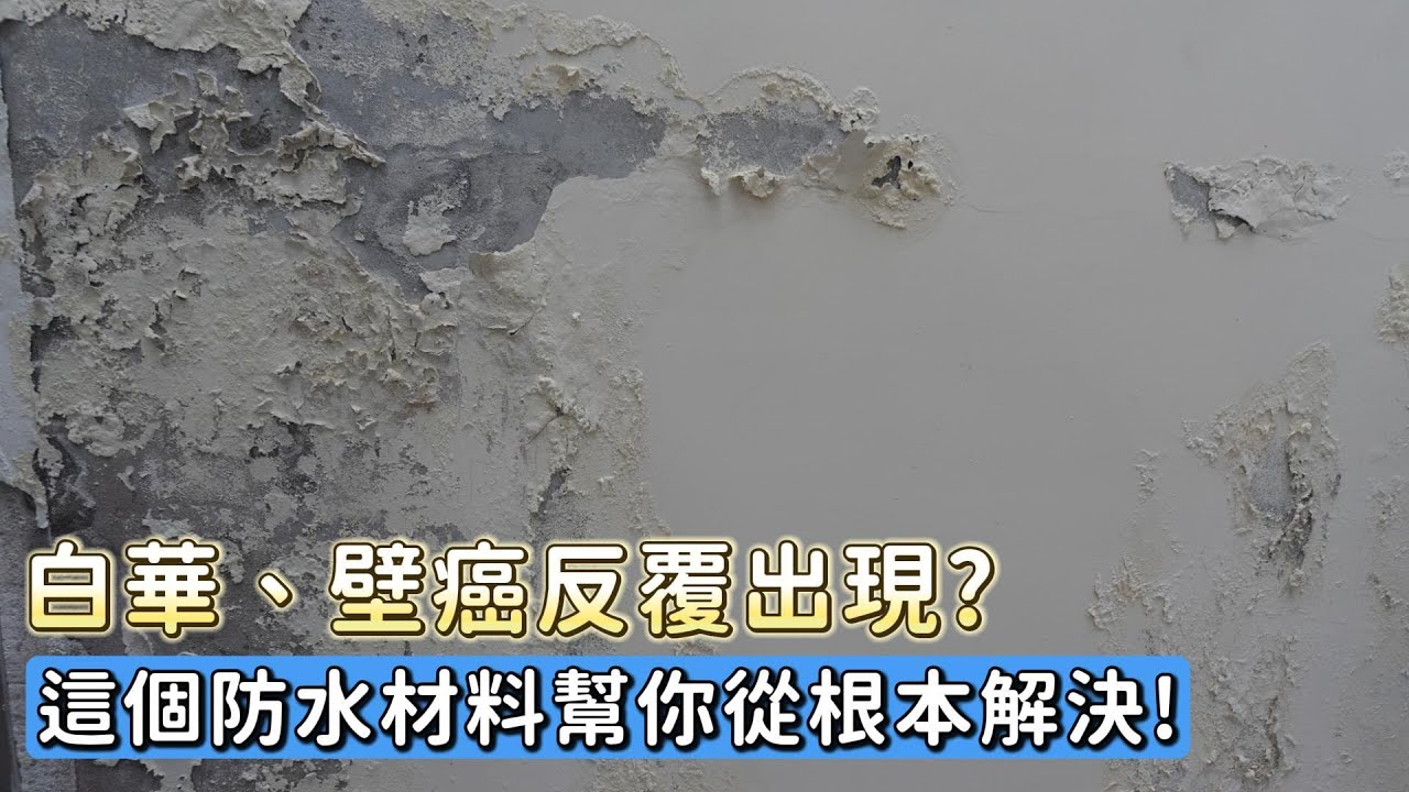 白華、壁癌反覆出現？解析矽酸質滲透結晶如何從結構內部徹底修復牆體！
