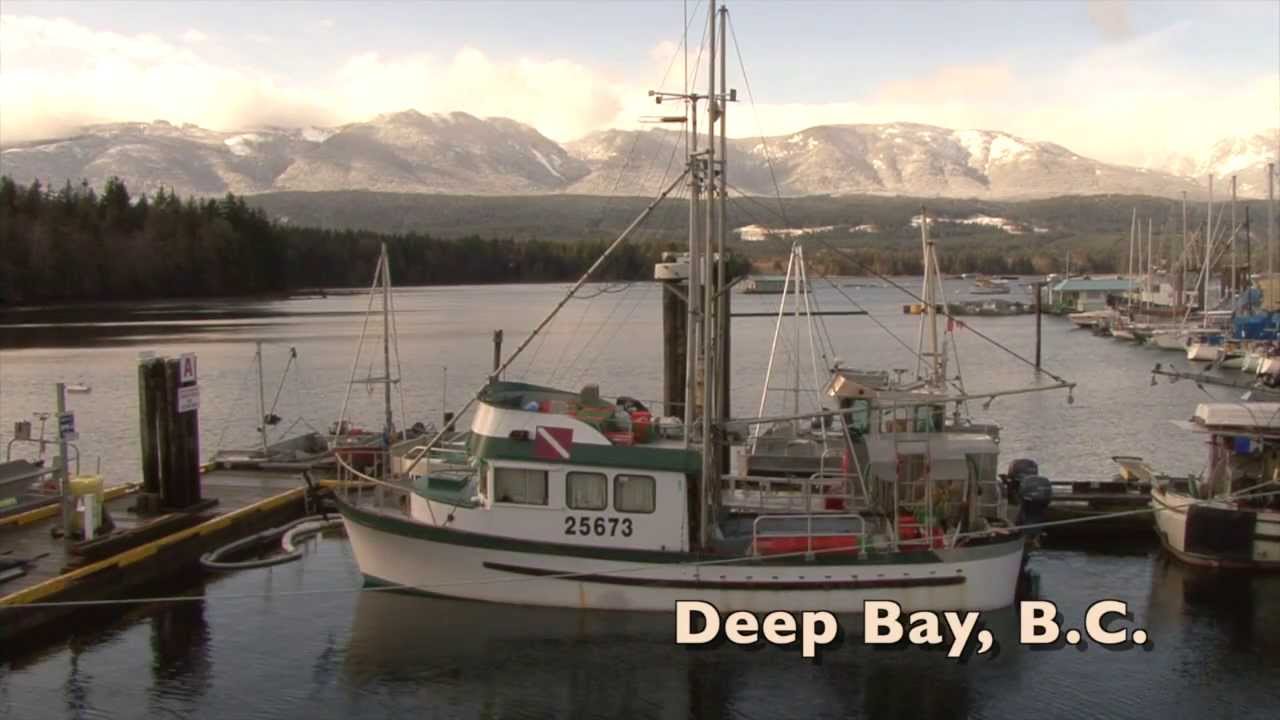 Baynes Sound : A Lot To Be Lost