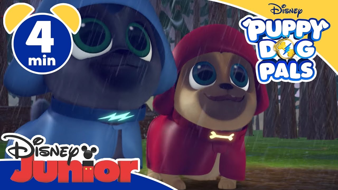 Puppy Dog Pals | Bingo, Rolly e il castoro - Disney Junior Italia