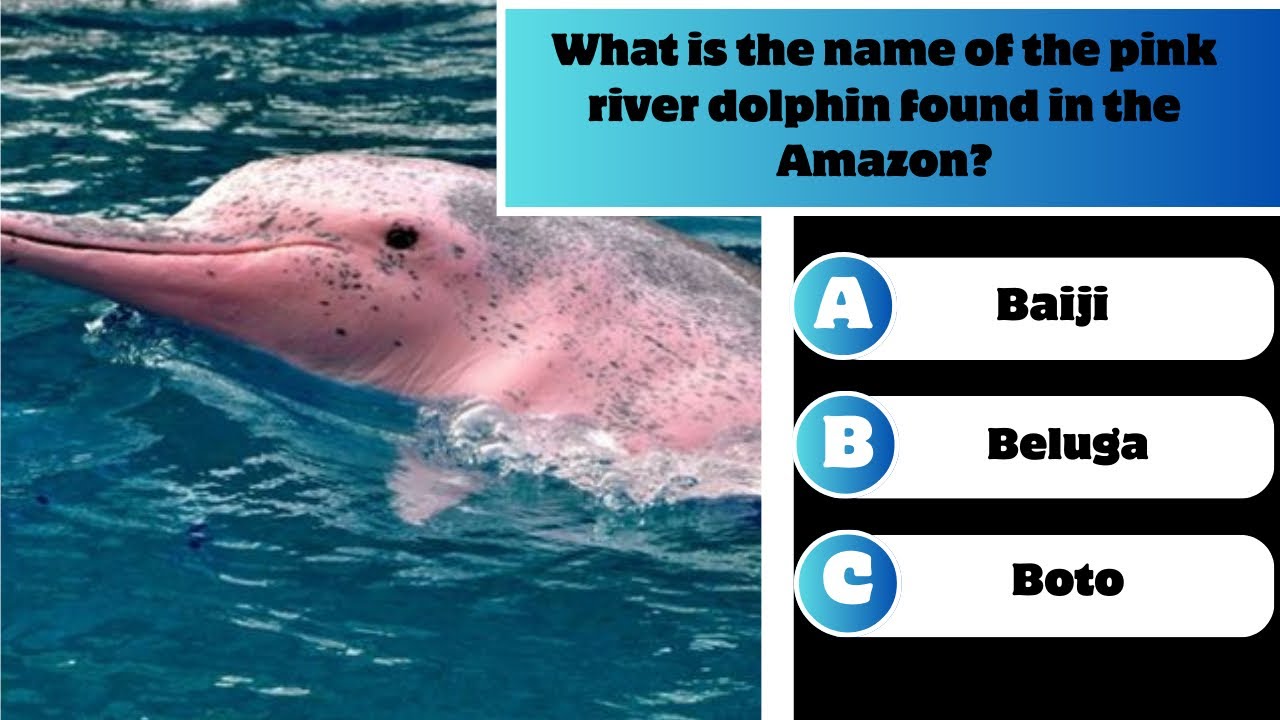 &ldquo;Explore the Amazon Rainforest: Ultimate General Knowledge Quiz&rdquo;