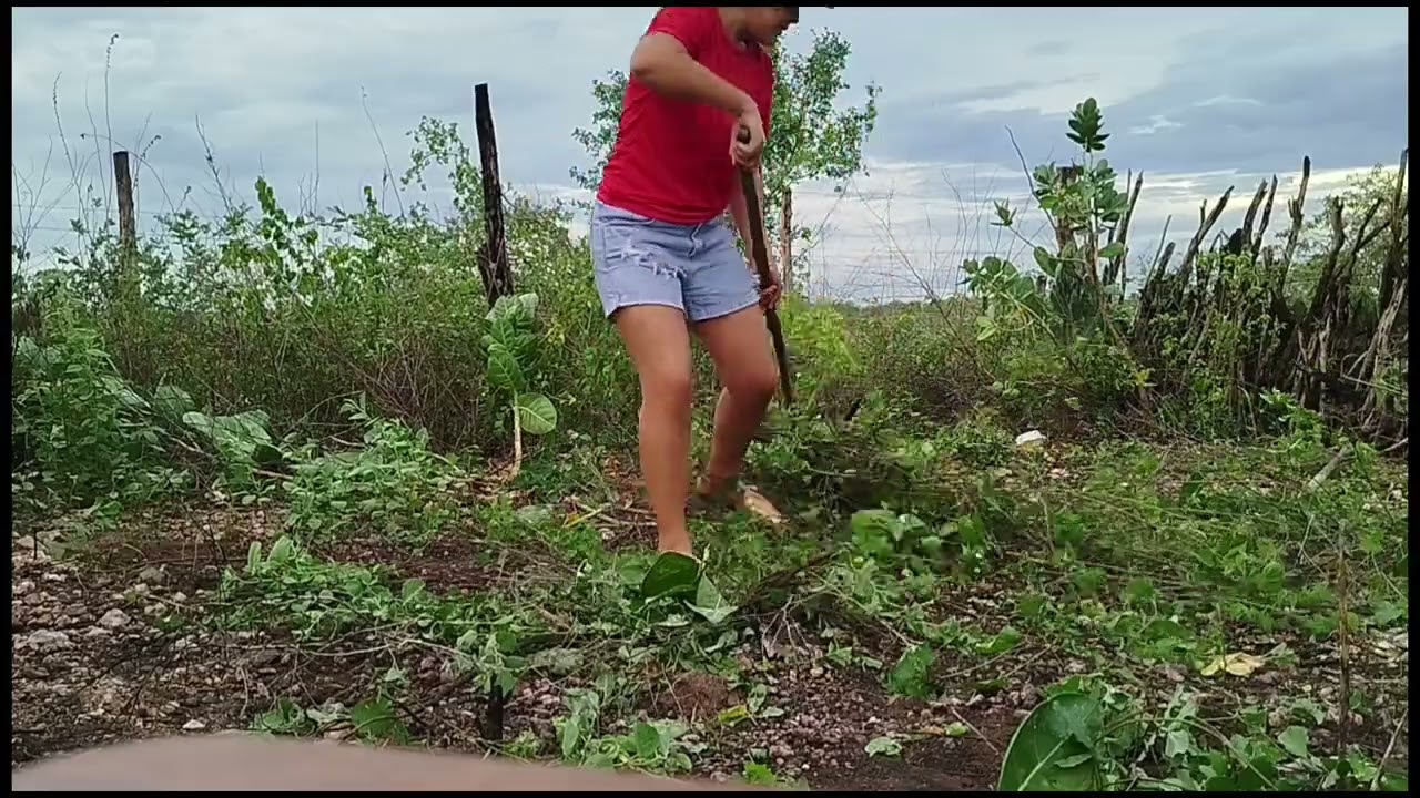 Olha a transformação desse terreno!(Primeiro dia na roça)