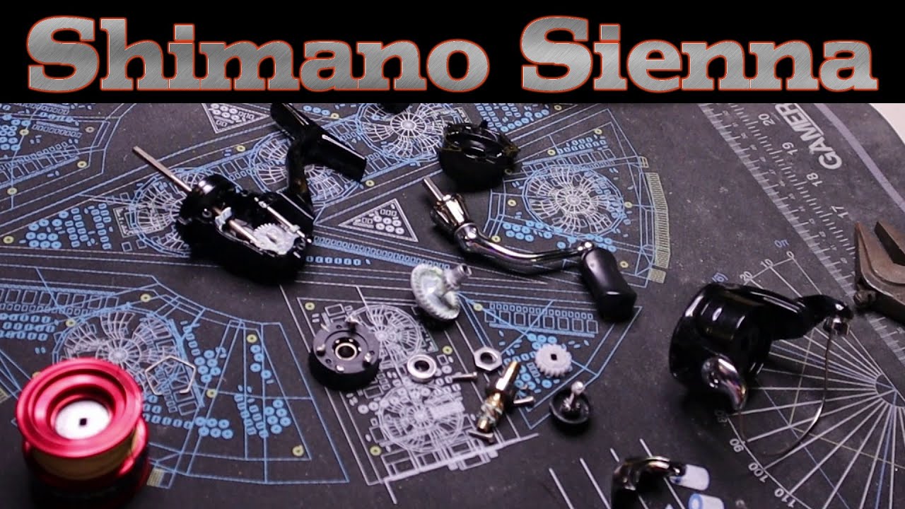 Рыболовная катушка Shimano Sienna. Разборка. Стоит ли оно того? Что внутри?
