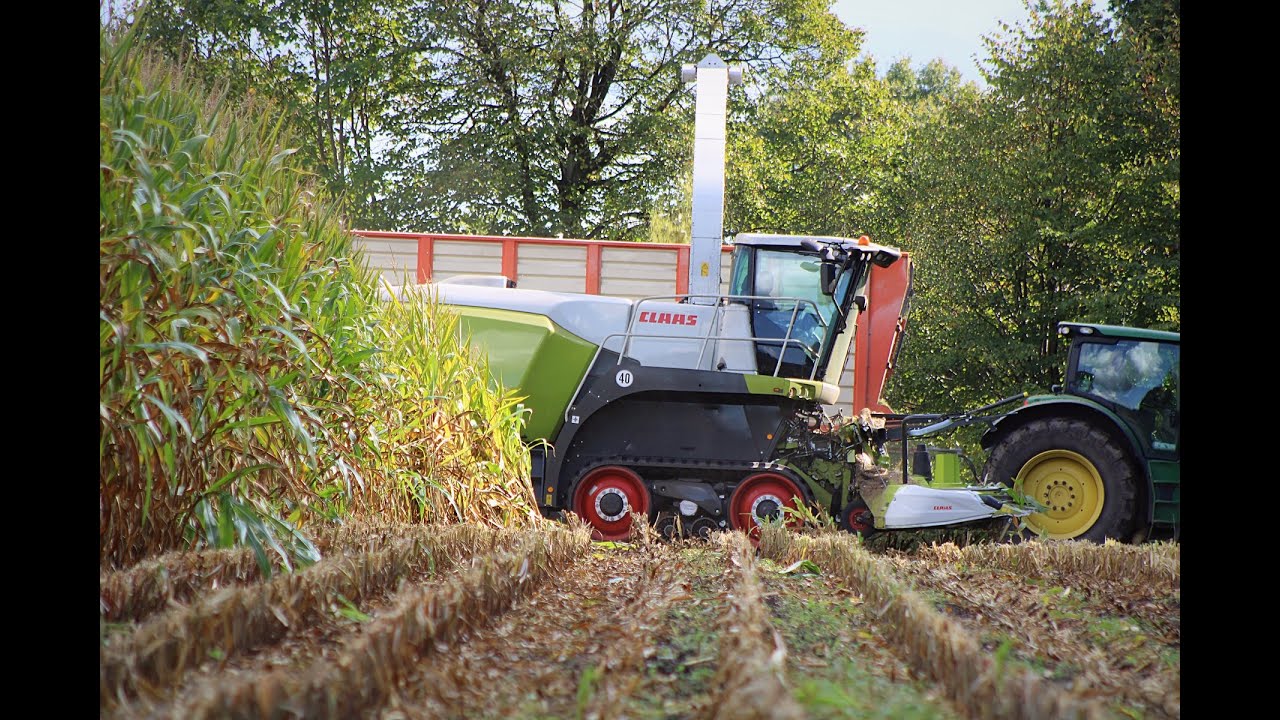Claas Jaguar 960 Terra-Trac