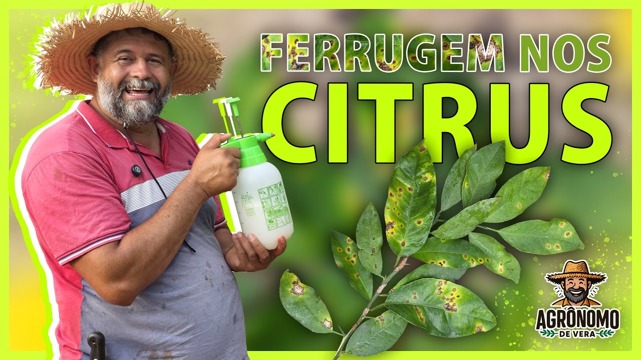 Como eliminar FERRUGEM no pé de LIMÃO
