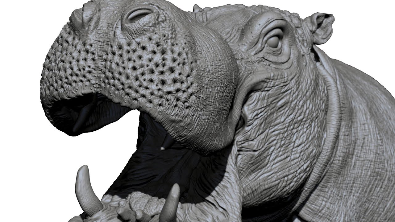 Sculpting Hippopotamus in Zbrush 2022