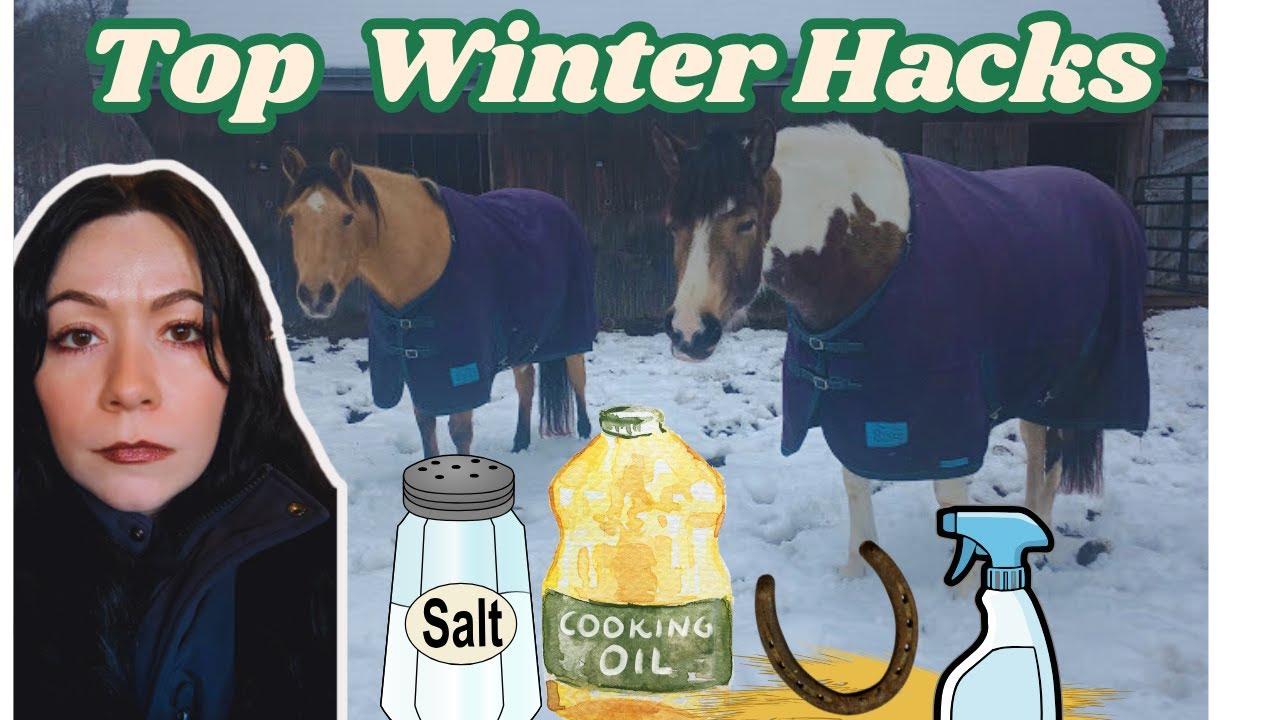 Horse Winter Hacks That ACTUALLY Make Life Easier.