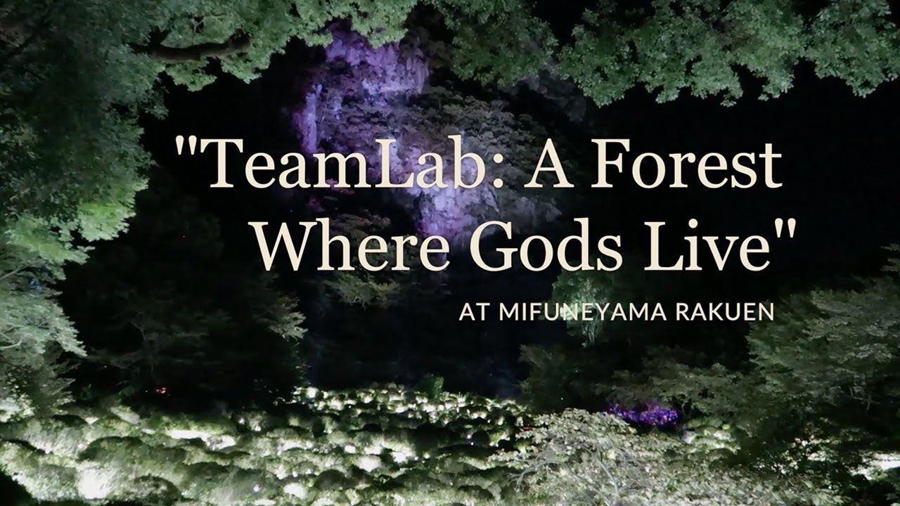 teamLab: A Forest Where GODS Live - Mifuneyama Rakuen