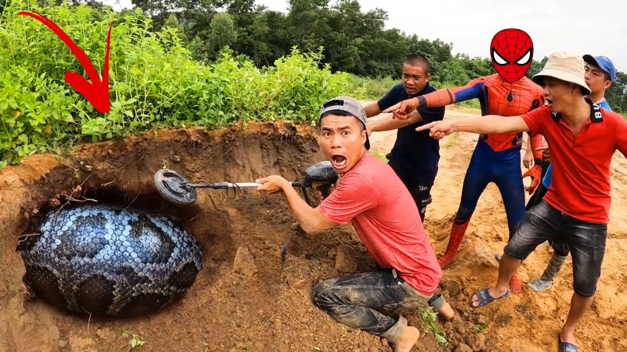 Brave Hunter Confront 2 Giant Python