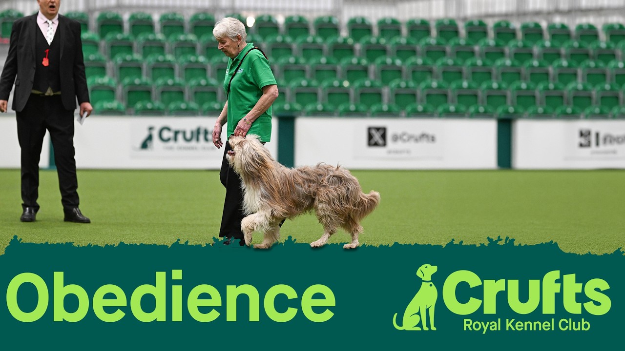 Obedience Day 1 LIVE | Inter-Regional Rally Competition | Crufts 2026
