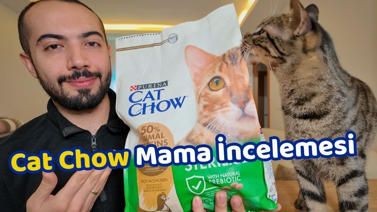 Cat Chow Kedi Maması Ger&ccedil;ekten İyi mi? İşte 10 Maddelik DEĞERLENDİRME! (Kedi Maması İncelemesi)