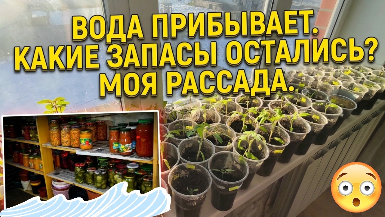 🌊Вода прибывает...Что с нашими запасами в погребе?🌱Где ставить рассаду?@SubTatiana LIFEVLOG