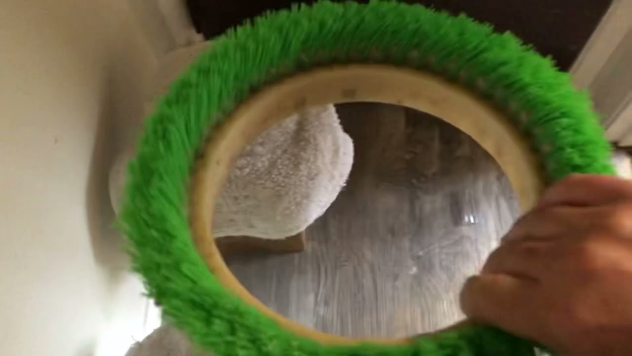 Takes Longer Cleans BETTER | Vlm Carpet Cleaning