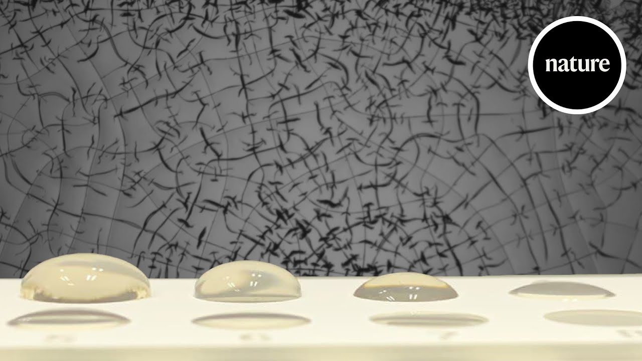 A glass that builds and heals itself