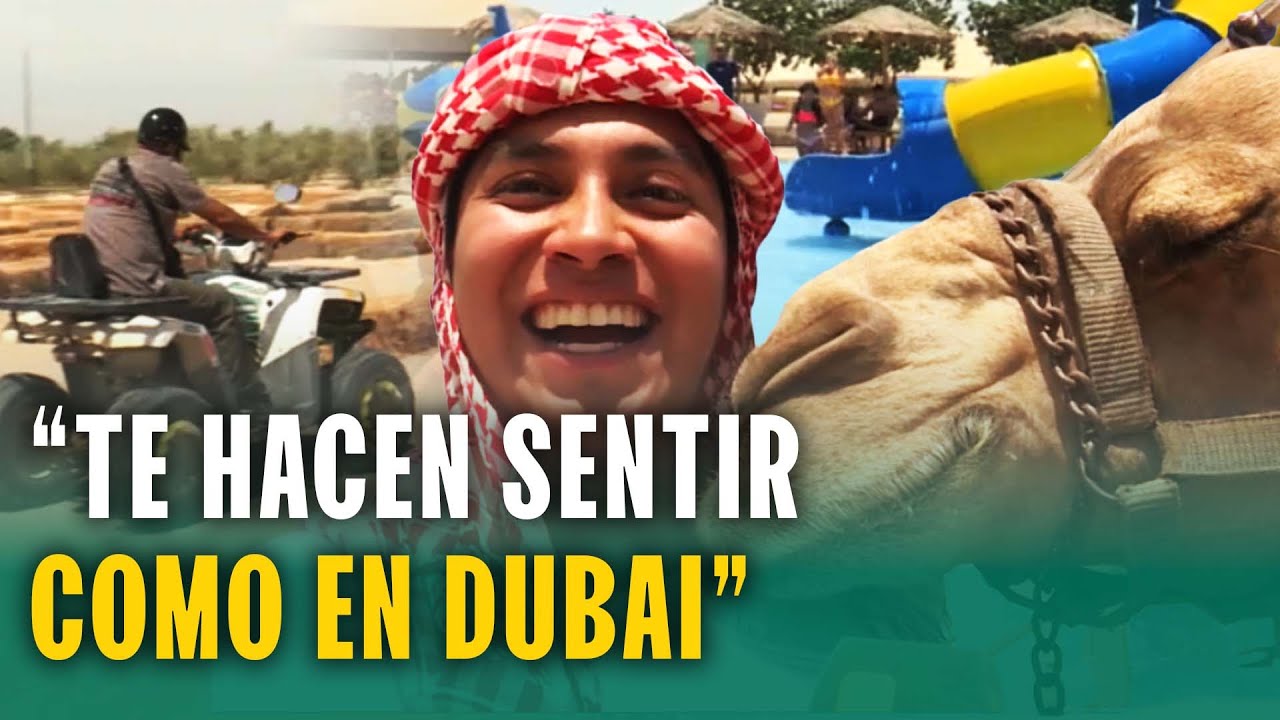 Aventura en el corazón del desierto de Ica: Pasean en camello como verdaderos jeques árabes