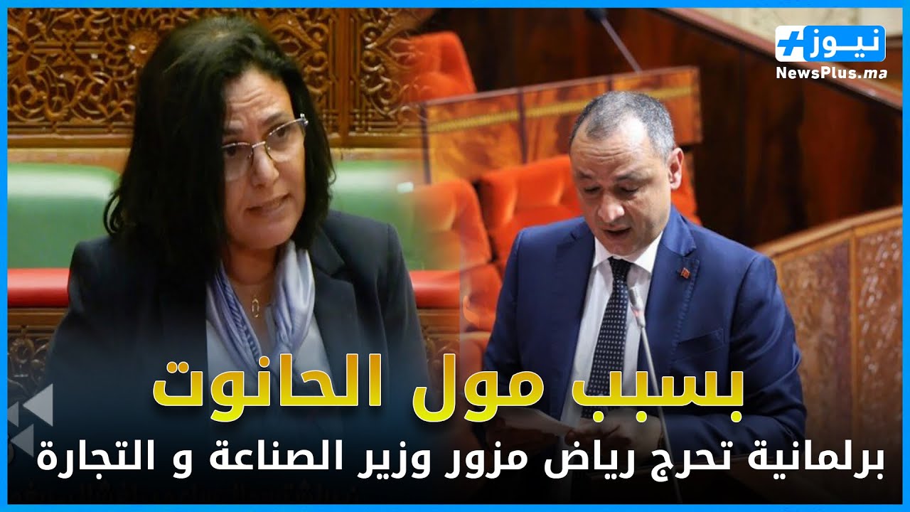 برلمانية تحرج رياض مزور وزير الصناعة و التجارة بسبب مول الحانوت و التجار