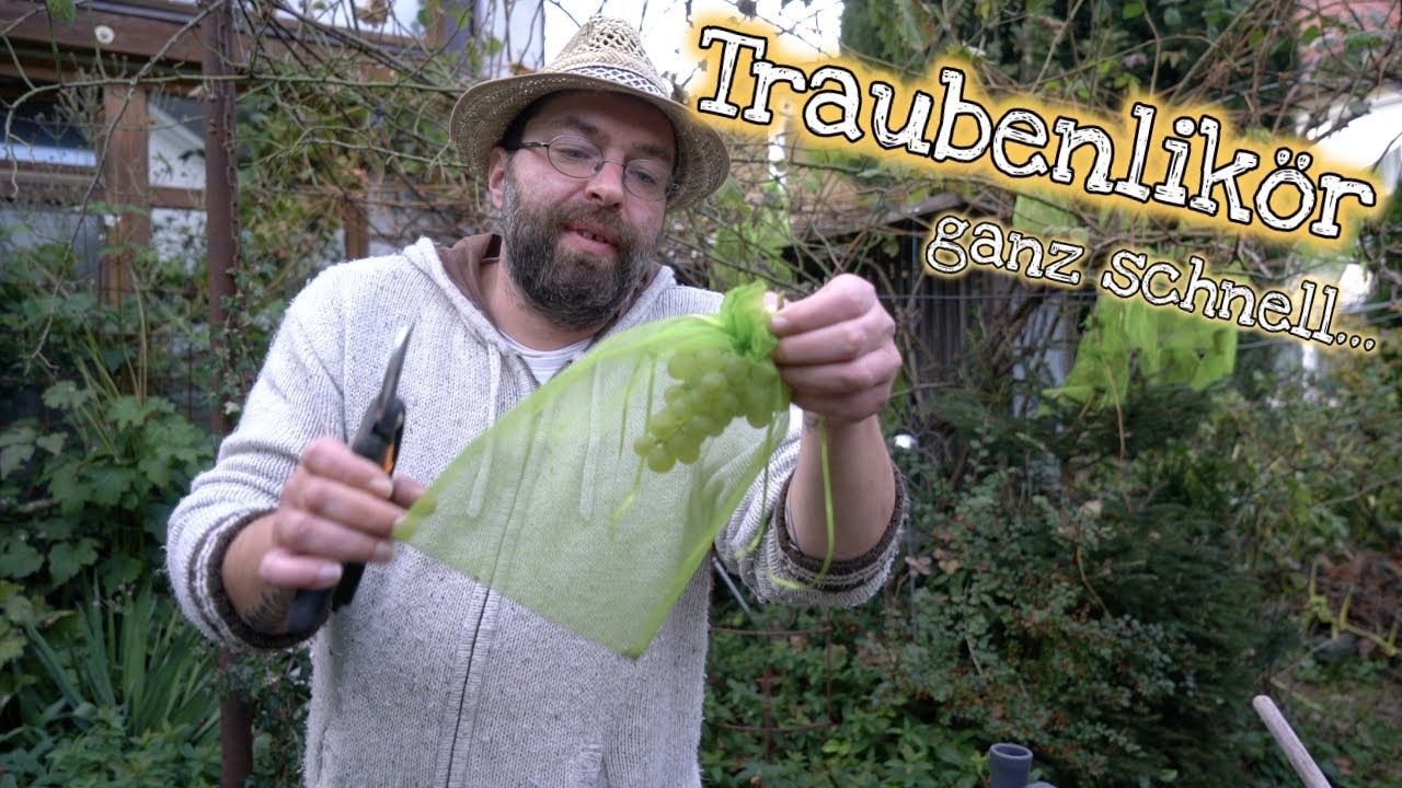 Traubenlikör für Ungeduldige