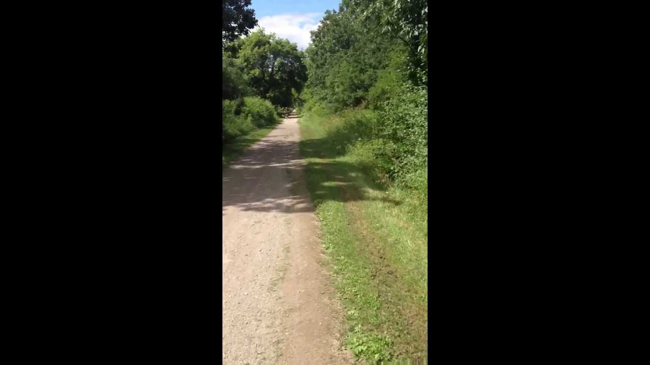 Wiouwash Trail