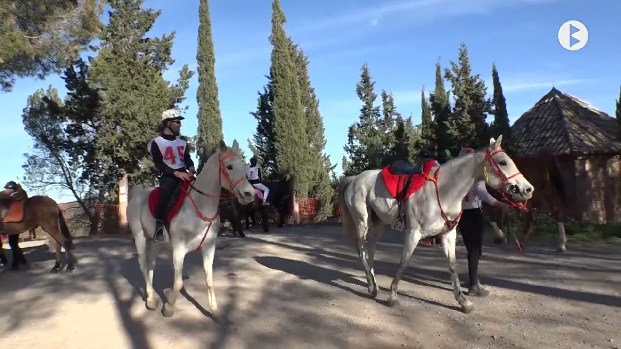 Traginers de Balsareny 2022  - Les curses HD