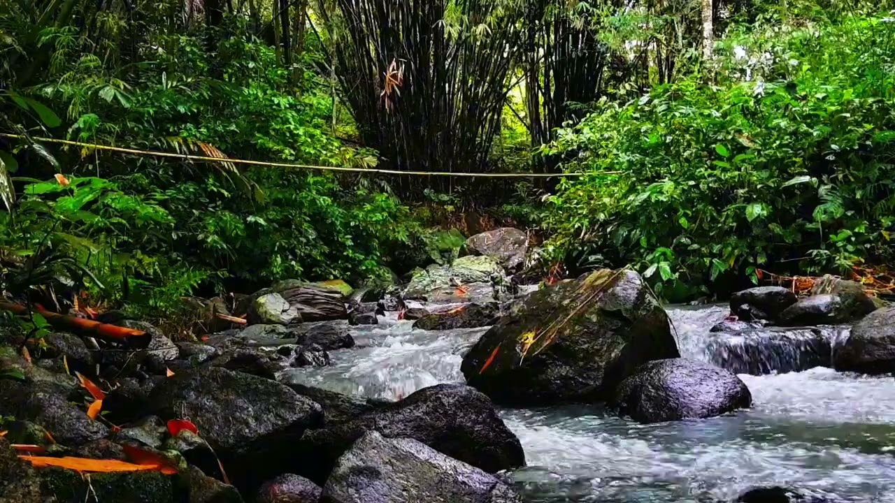 Authentic River ASMR 🌊 Pure Natural Water Sounds for Deep Sleep, Relaxation & Stress Relief