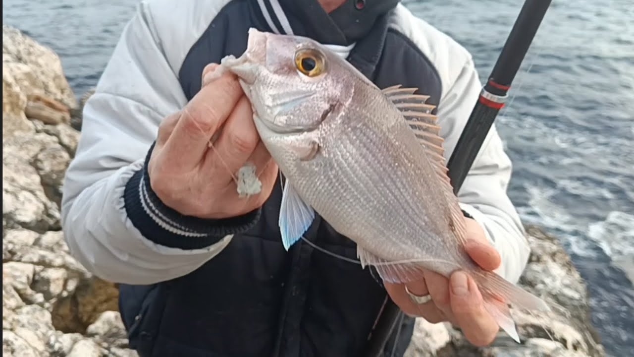 OTRO RATO MAS OTRA JORNADA MAS  DE PESCA  SURFCASTING DESDE ACANTILADO 