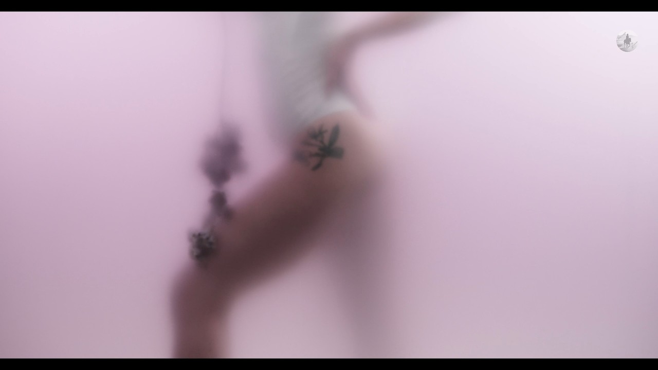 Zarro D Project ft. Delir - Falling Still | Official Music Video