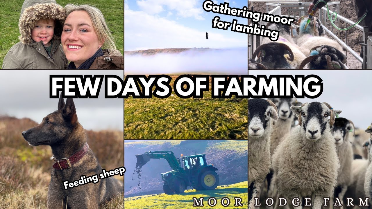 FEW DAYS OF FARMING