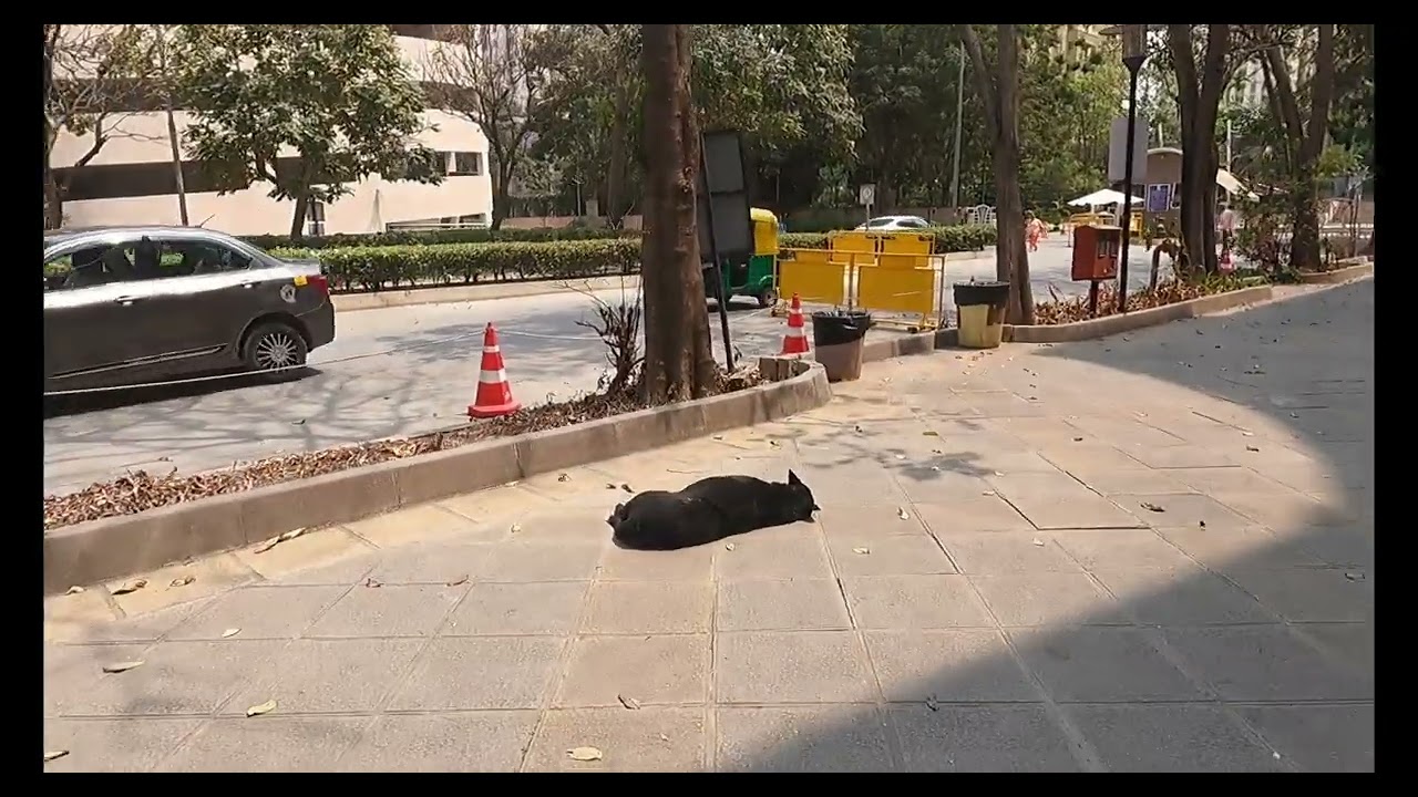 Walk thru Brigade Metropolis, Bangalore 2022 18 March