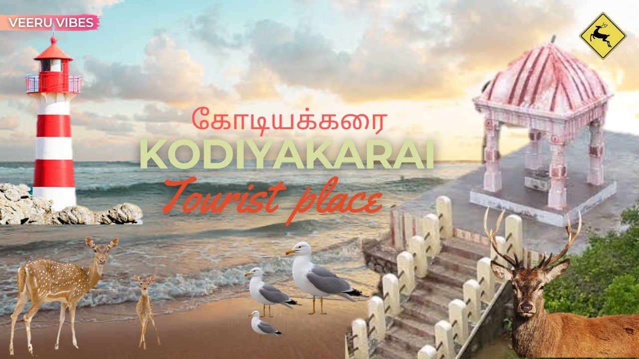 கோடியக்கரை சுற்றுலா || KODIYAKARAI Travel ராமர் பாதம் | குழகர் கோவில் | உப்பளம் | Mangrove forest