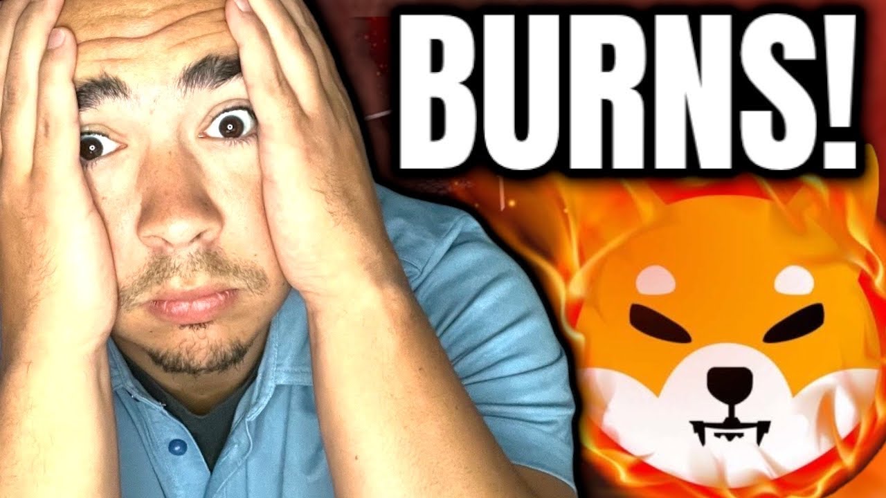 SHIBARIUM PUBLIC BETA: SHIB BURNS DEPEND ON TRANSACTIONS
