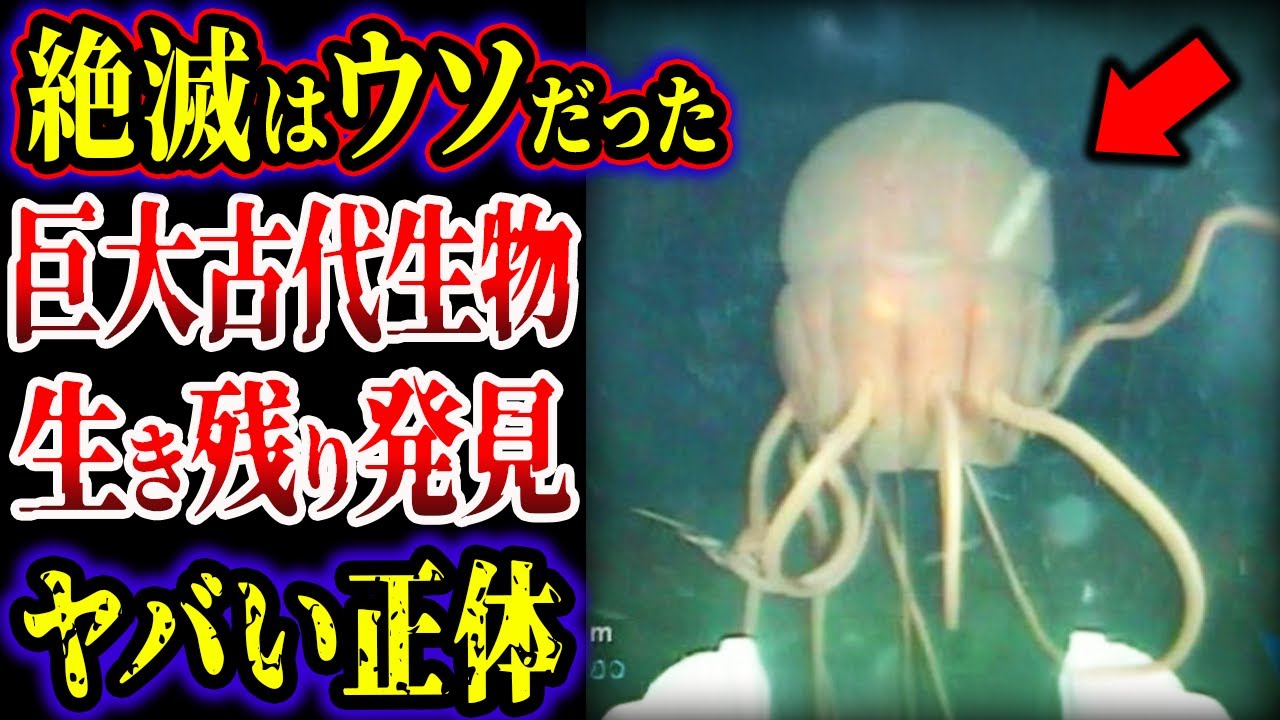 【ゆっくり解説】絶滅した巨大ウミサソリの生き残り見つかる&hellip;! ボートを沈めた巨大ロブスター&hellip;実在した海の怪物たちがヤバすぎる&hellip;!!!【古代生物】