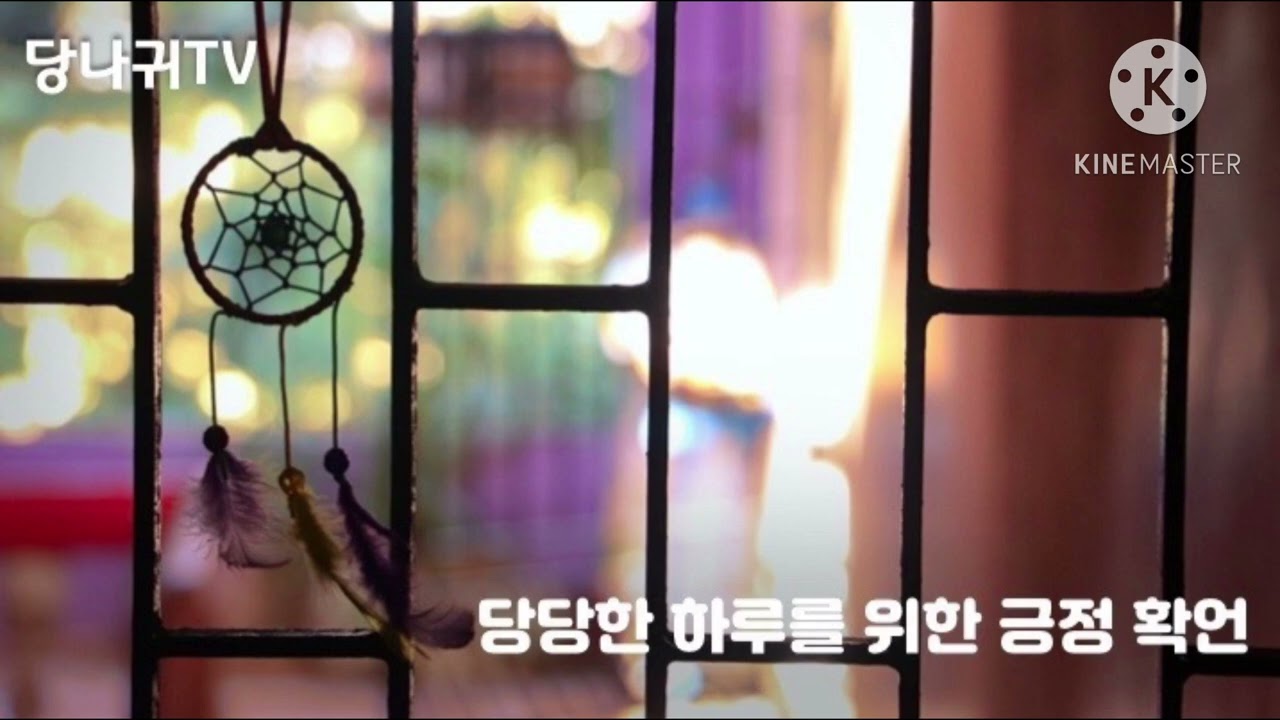 당나귀TV_0130(금)