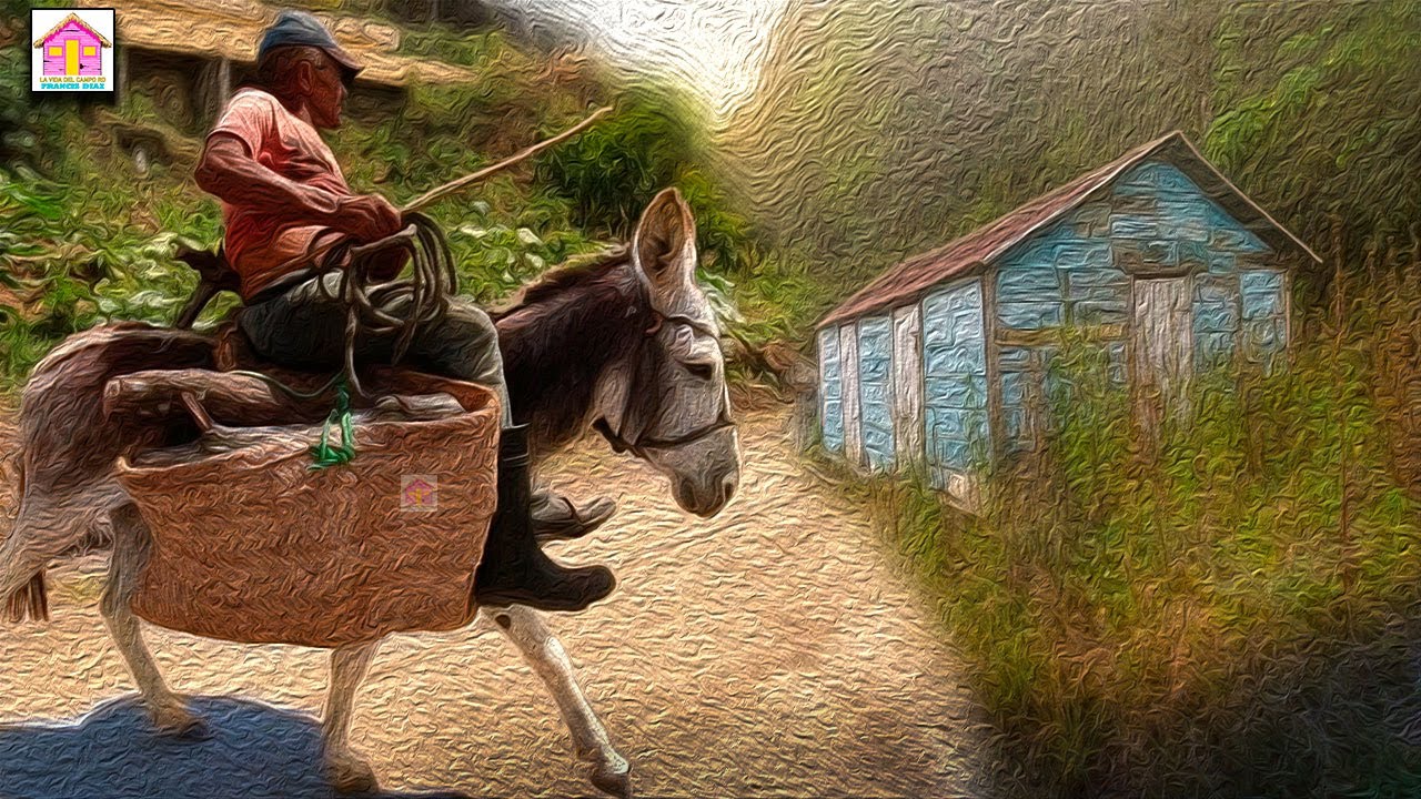 RUTA OCOA VALLE NUEVO DE CONSTANZA republica dominicana