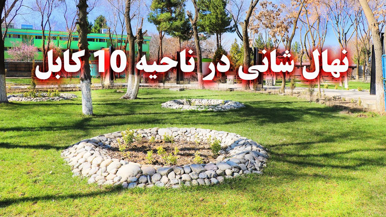 Planting trees in the 10th district of Kabul - درخت نشاندن در ناحیه 10 کابل