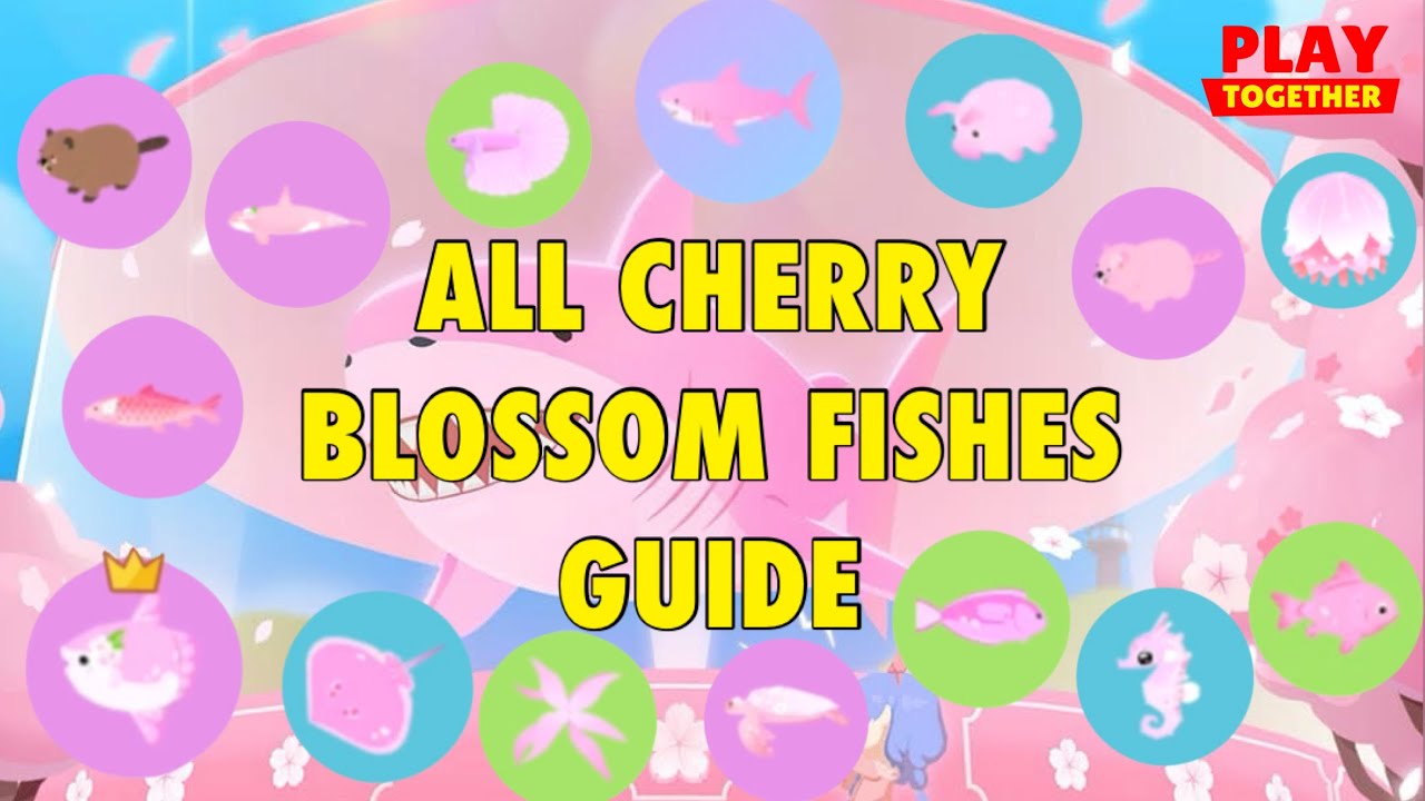 ALL CHERRY BLOSSOM FISHES GUIDE #steam #playtogether