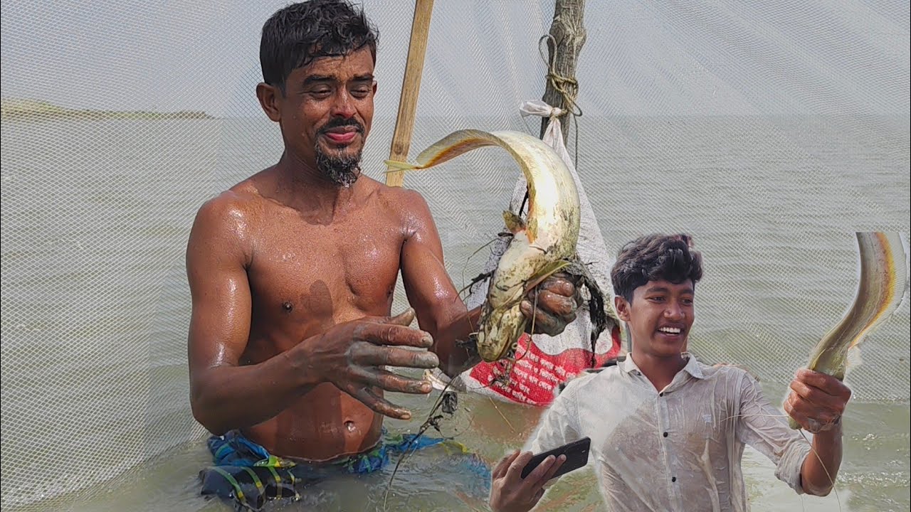কম পানি এত মাছ দেখে অবাক।। Catching Lots River Big Patan & Shrimp fish।। Bangladesh Barisal River 