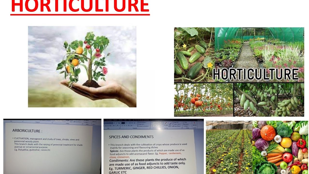 Introduction of horticulture.. lecture 1 