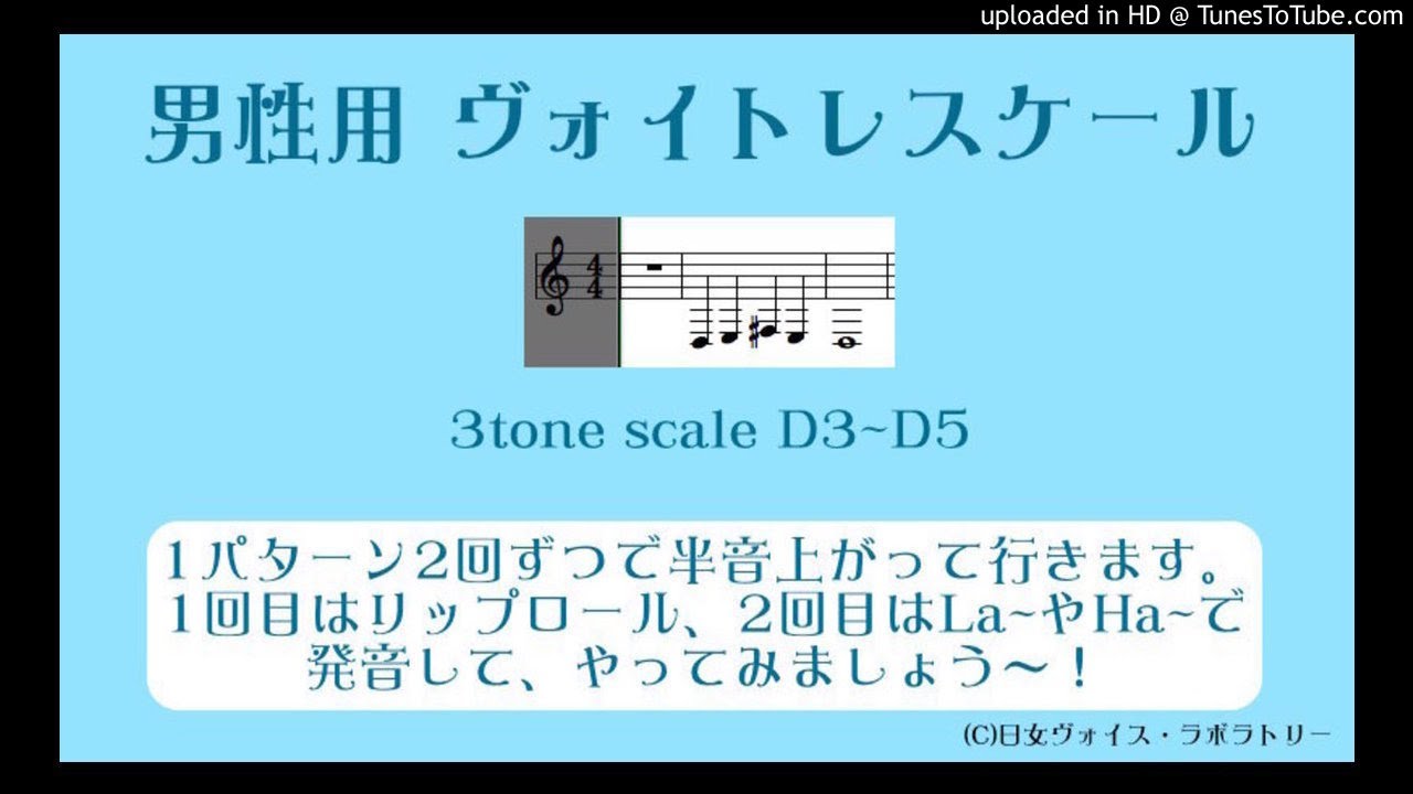 【ヴォイトレ用音源】男性（D3~D5）３トーン・スケール／難易度★☆☆☆☆