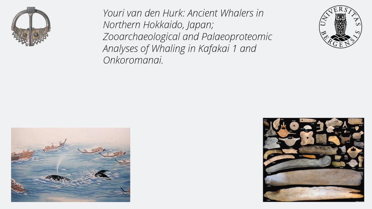 Youri van den Hurk-Ancient Whalers in Northern Hokkaido, Zooarchaeological Analysis of Whaling