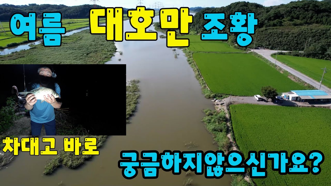 대호만 한여름에도 이런붕어조황이 ?  그리고 이런곳이