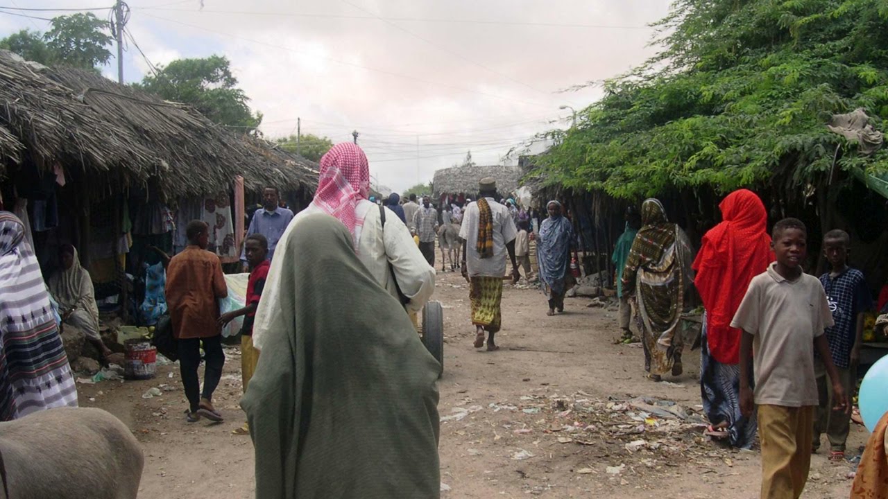 Understanding the Global Community - Failed States