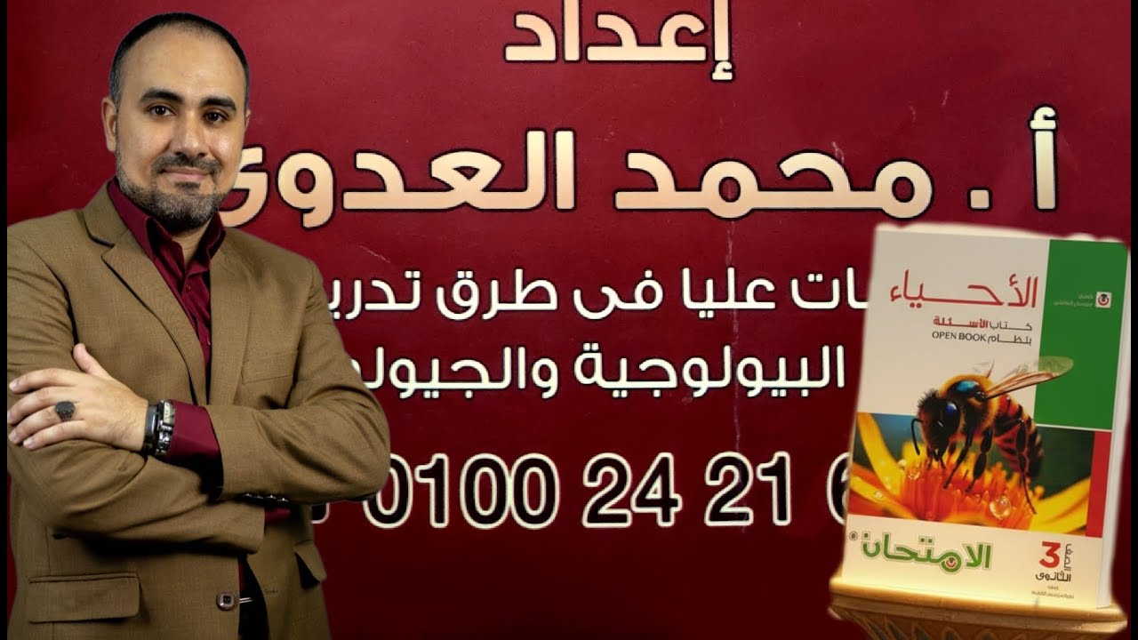 معسكر شرح اشكال الصخور النارية ( السطحية - تحت السطحية ) /شرح الجيولوجيا 2026 / ثالثة ثانوي