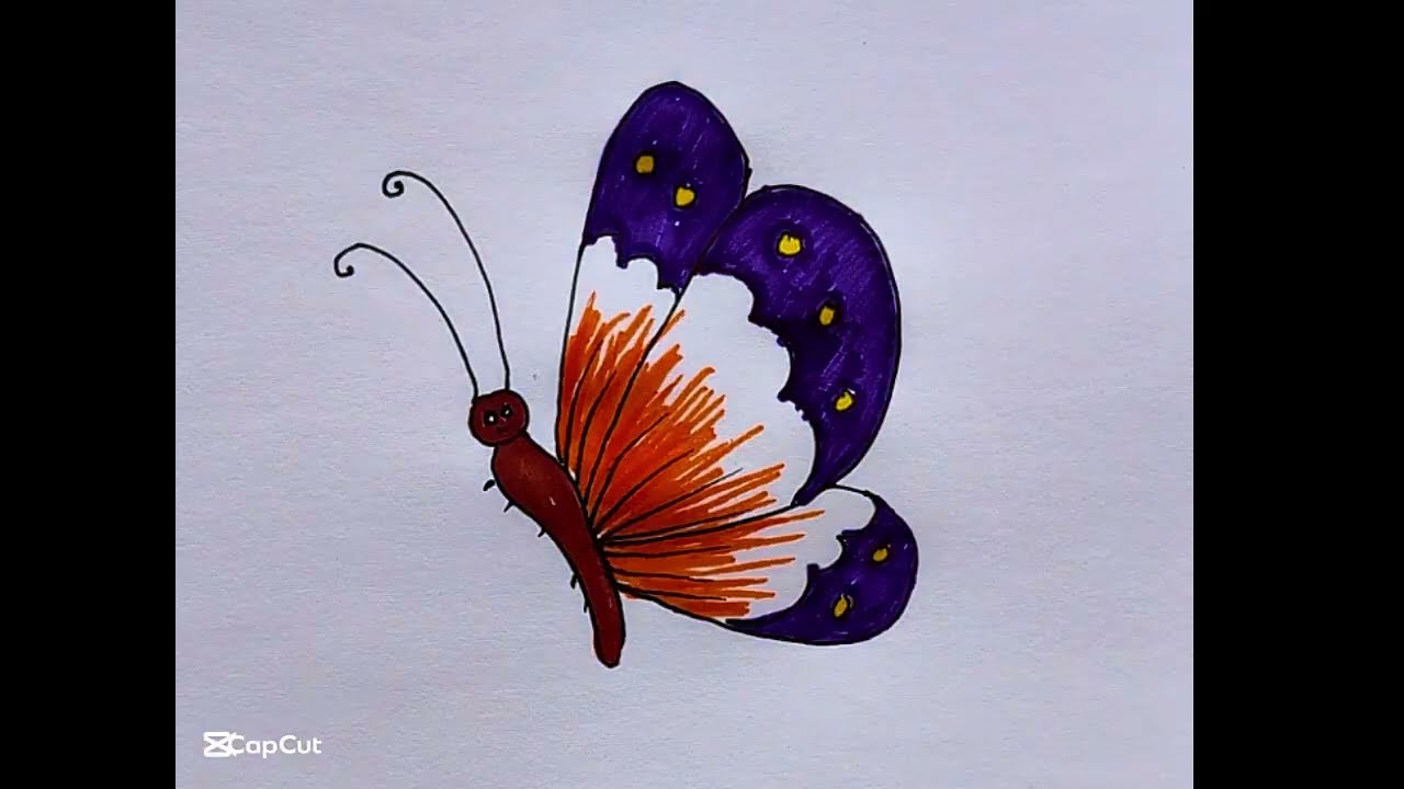 🌈 WOW! How Cutely Drawn 🦋 | Easy Butterfly Drawing for Beginners